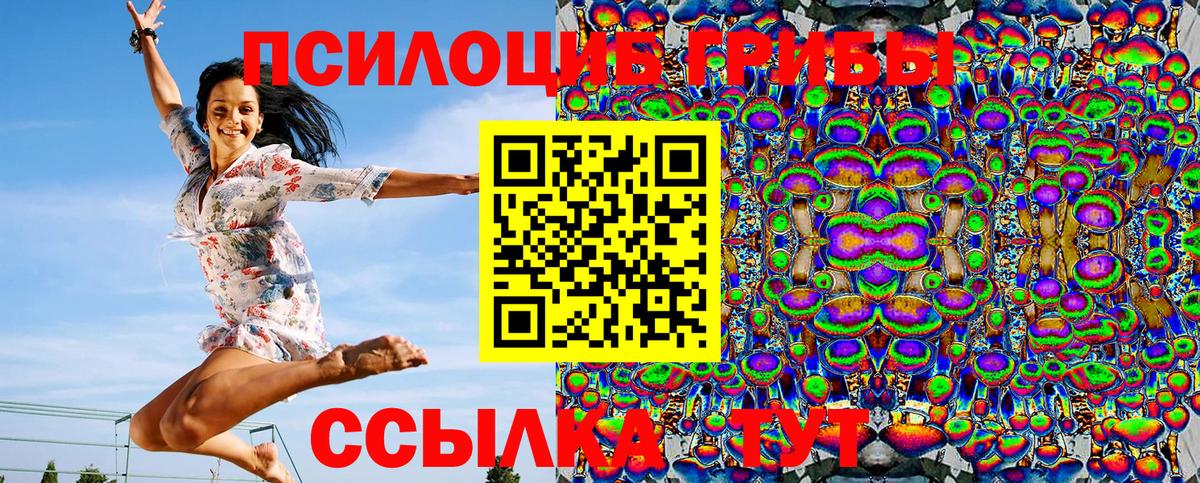 Сегежа  Псилоцибиновые грибы MAGIC MUSHROOMS  Галлюциногенные грибы мухоморы  Вход с VPN 